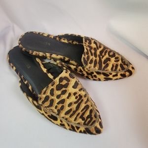 Express Pointed Toe Leopard Flat Mule